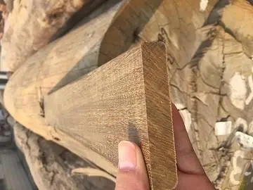 非洲柚木怎么样？